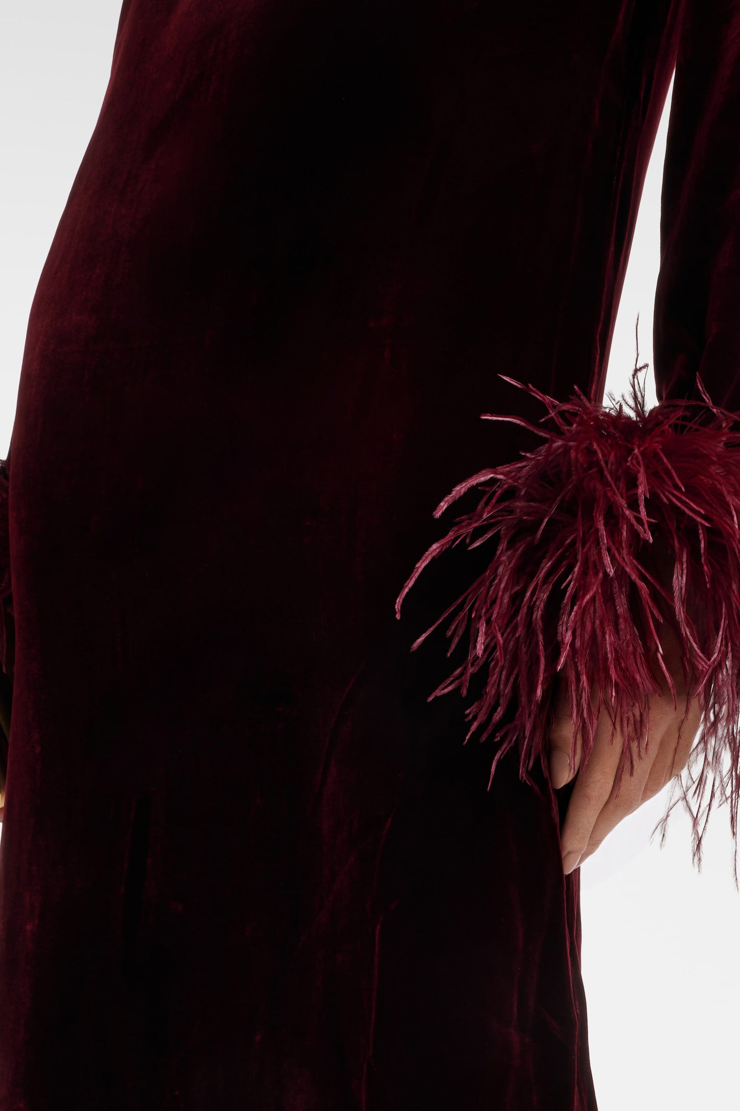 Close-up detail of natural ostrich feathers and wine-colored recycled velvet texture