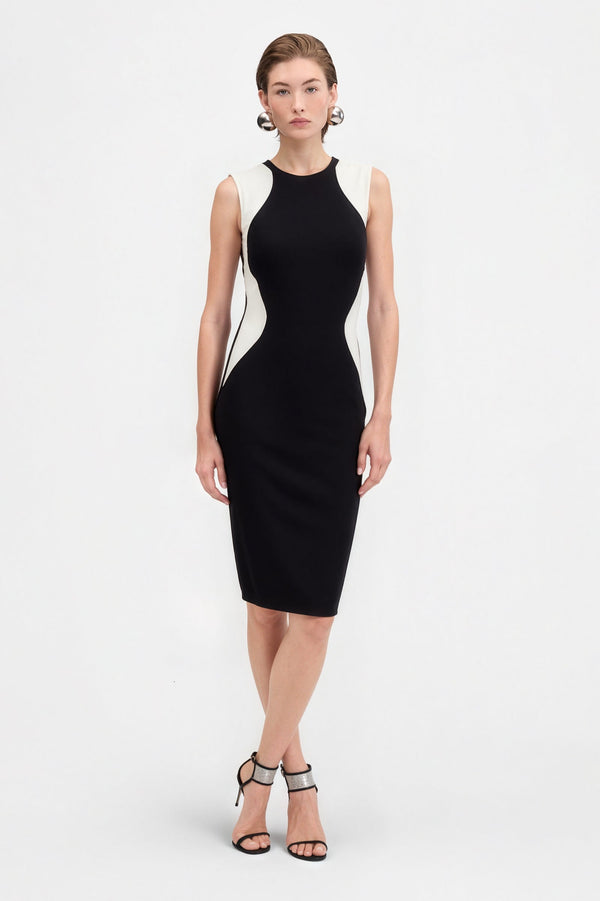 Front view of the Sculpted Contrast Bodycon Dress showcasing its color-block design.