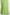 Full length green crepe long dress with high neckline