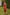 Rust Red Satin Halterneck Dress